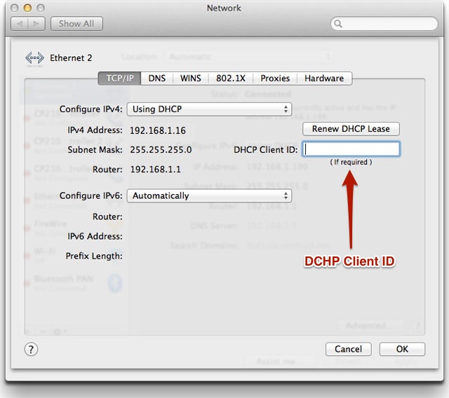 Where to find dhcp client id